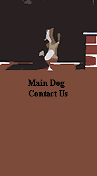 Main Dog
Contact Us