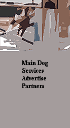 Main Dog
Services
Advertise
Partners




