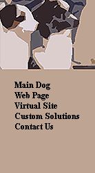 Main Dog
Web Page
Virtual Site
Custom Solutions
Contact Us



