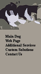 Main Dog
Web Page
Additional Services
Custom Solutions
Contact Us



