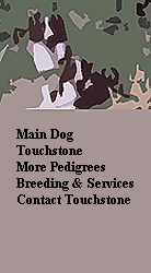 Main Dog
Touchstone
More Pedigrees
Breeding & Services
Contact Touchstone



